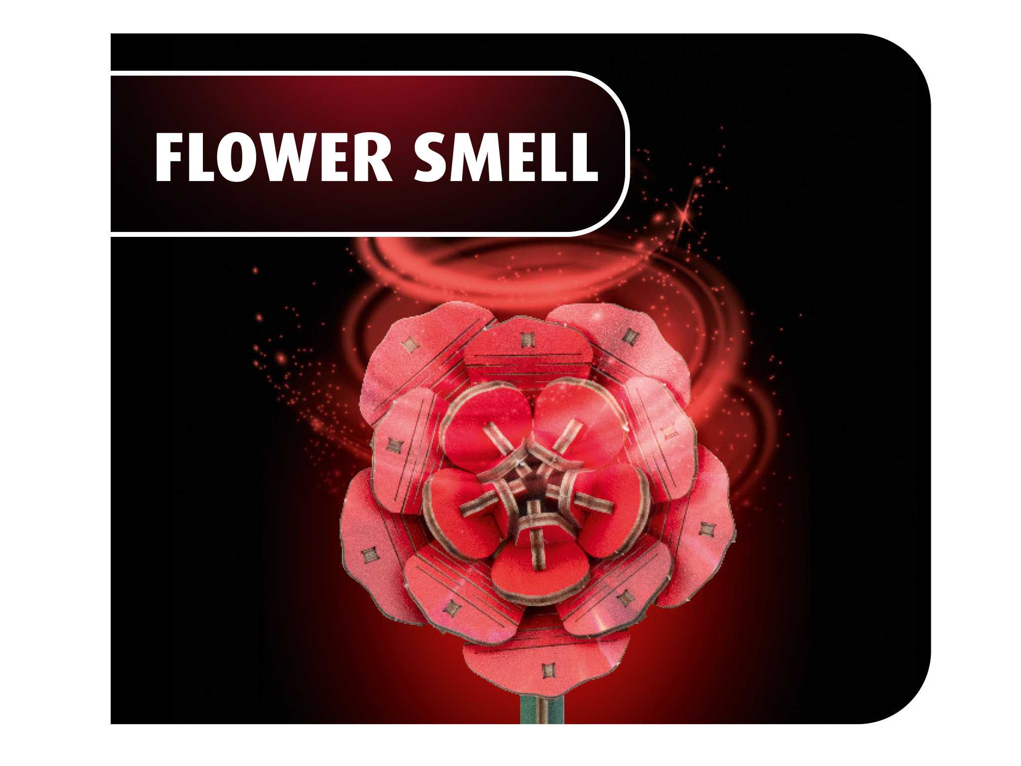 REVELL Flowers 00631 - Dream of Roses